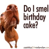 Sms poruke za rodjendan